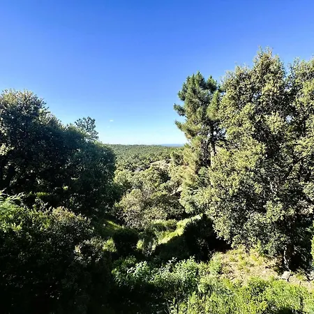 Bouginvillees Pour 12 Personnes Avec Piscine Chauffee Et Vue A